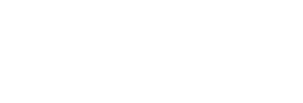 IDES — Instituto para o Desenvolvimento Económico e Social
